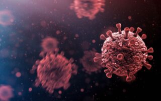 COVID 19 virus.