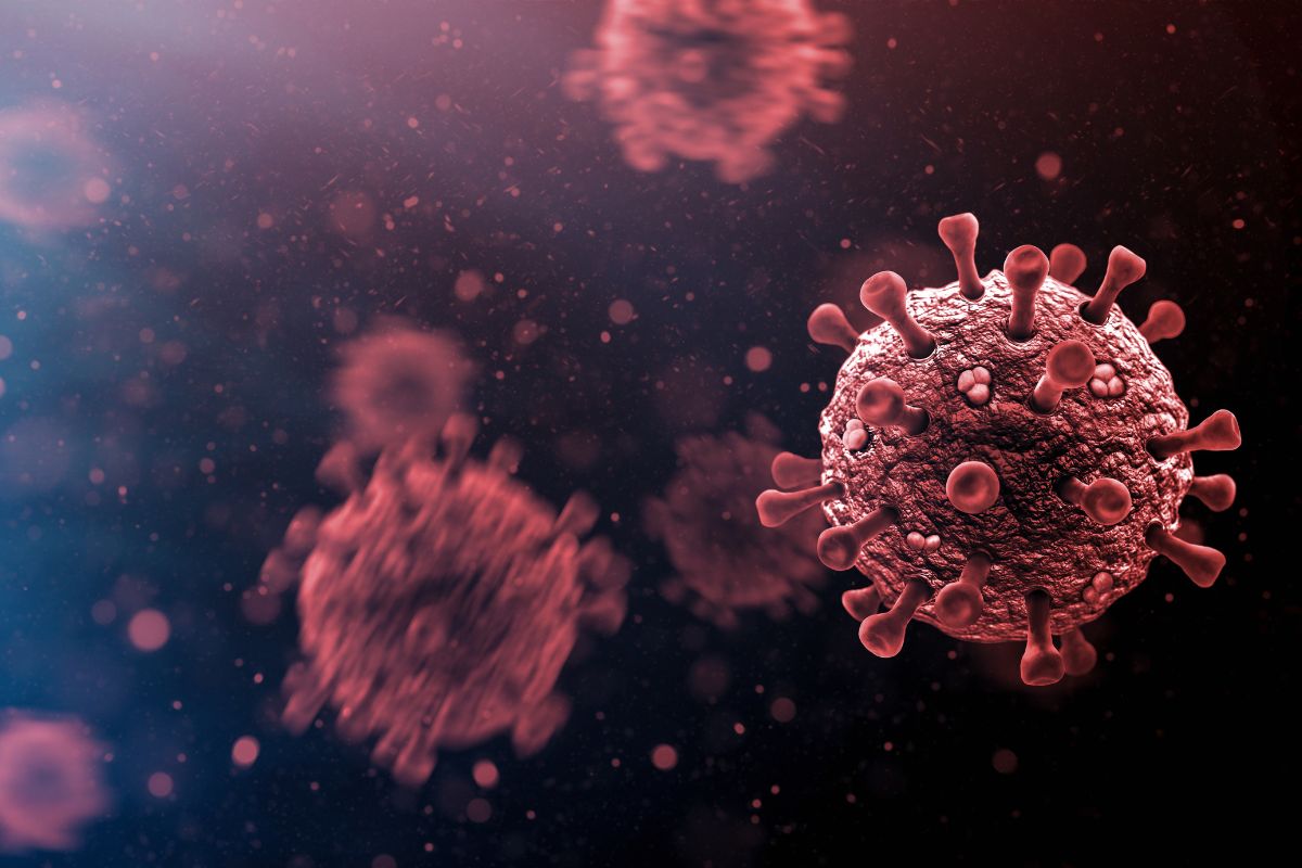 COVID 19 virus.