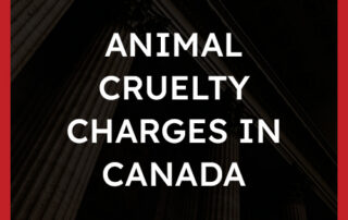Animal Cruelty Charges in Canada